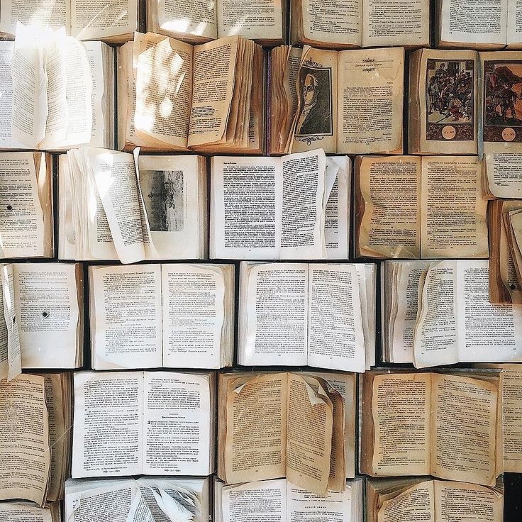libros-portada-blog-artículo-reseña-leer-en-ella